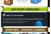 20 WordPress eshop pluginů infografika